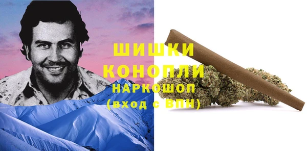 бутират Гусь-Хрустальный