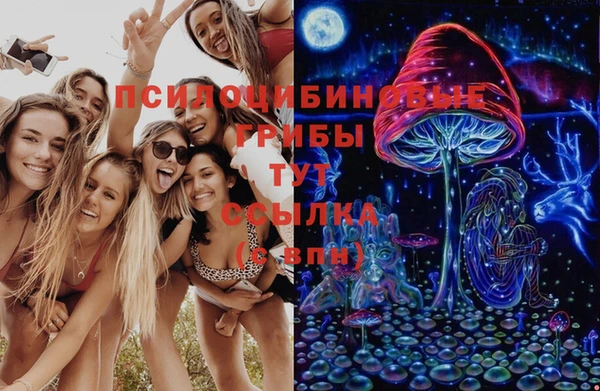 бутират Гусь-Хрустальный