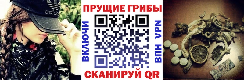 Псилоцибиновые грибы Magic Shrooms  где найти наркотики  Железноводск 