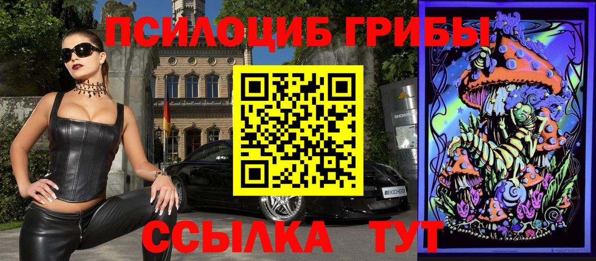 Галлюциногенные грибы Magic Shrooms  закладки  Железноводск  Вход с VPN 
